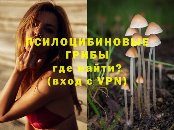 спиды Алексеевка