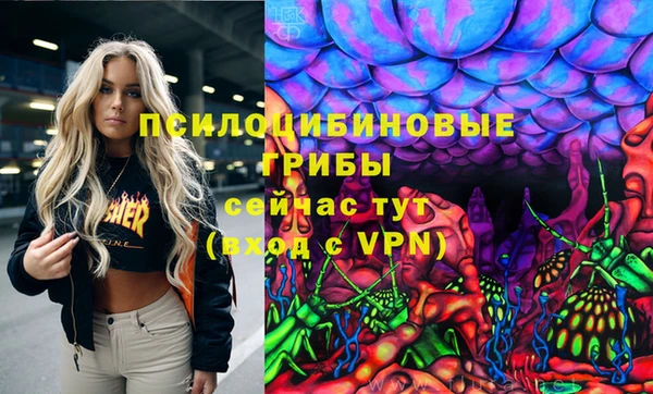 молекула духа Алзамай