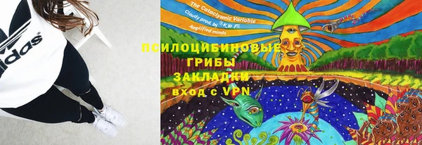 спиды Алексеевка