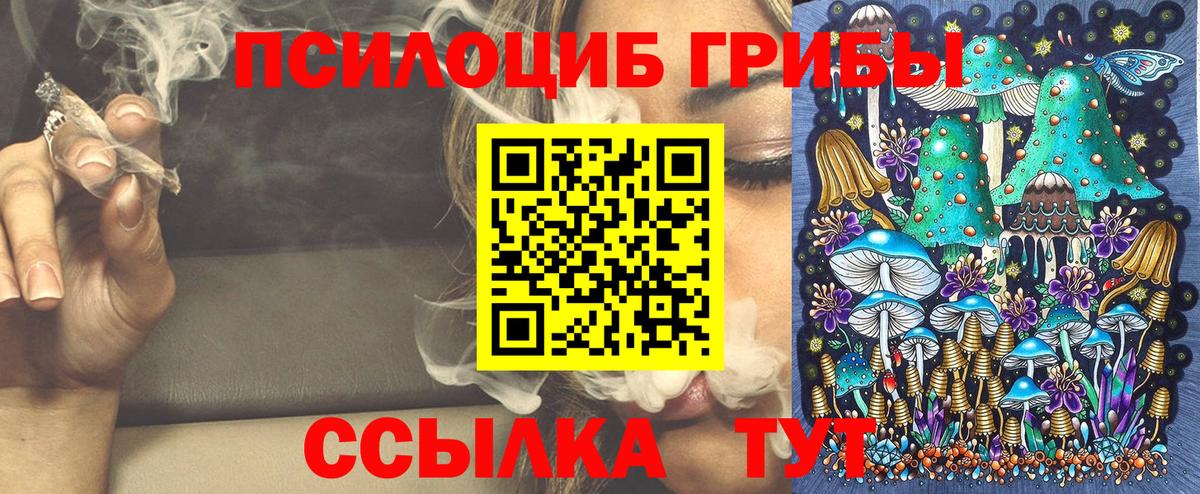 Рубцовск  Псилоцибиновые грибы Psilocybine cubensis  Вход с VPN 